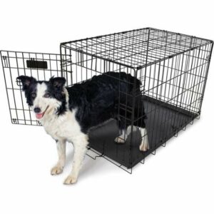 Aspen Pet 30 in Home Training Wire Kennel - Pet Shelters/Bedding/Carr at Academy Sports