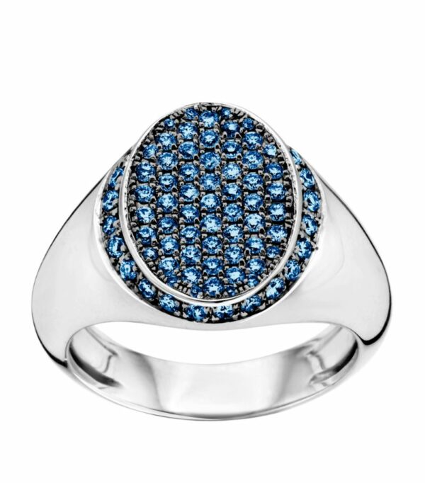 Bare Fine White Gold And Blue Sapphire Signet Classic Ring