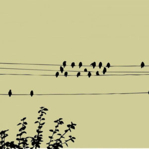 Birds On A Wire Home Living Room Picture Art Decal, 20x60"