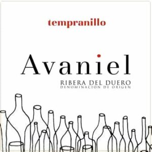 Bodegas Monteabellon 2017 Avaniel Tinto - Tempranillo Red Wine