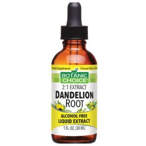 Botanic Choice Dandelion Root Herbal Supplement Liquid - 1.0 Ounce