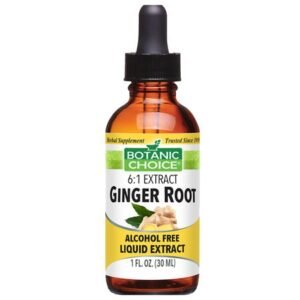 Botanic Choice Ginger Root Herbal Supplement Liquid - 1.0 Ounce