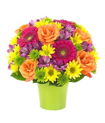 Brilliance Bouquet - Regular