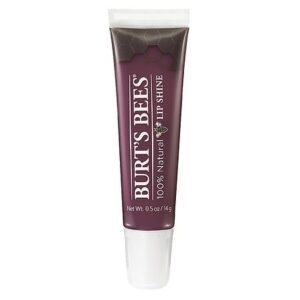 Burt's Bees 100% Natural Moisturizing Lip Shine - 0.5 oz