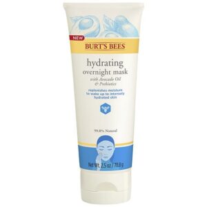 Burt's Bees Hydrating Overnight Mask - 2.5 oz