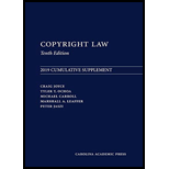 Copyright Law - 2019 Supplement