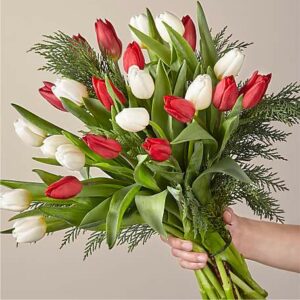 Deluxe New Traditions Tulip Bouquet