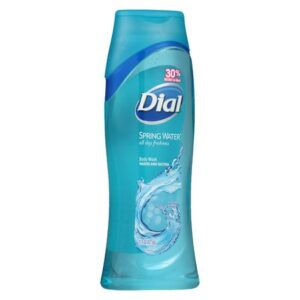 Dial All Day Freshness, Moisturizing Body Wash Spring Water - 21.0 fl oz