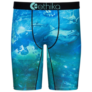 Ethika Mens Ethika Graphic Brief - Mens Green/Black Size XL