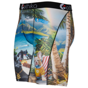 Ethika Mens Ethika Graphic Brief - Mens Multi/Multi Size L