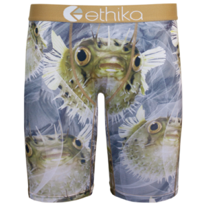 Ethika Mens Ethika Graphic Briefs - Mens Grey/Green Size L