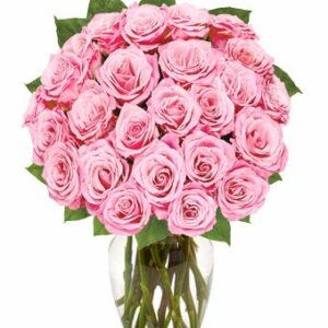 Exclusive Pink Rose Arrangement - 24 Stems - Regular