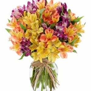 Flower Delivery - Bouquet of Alstroemeria - Regular