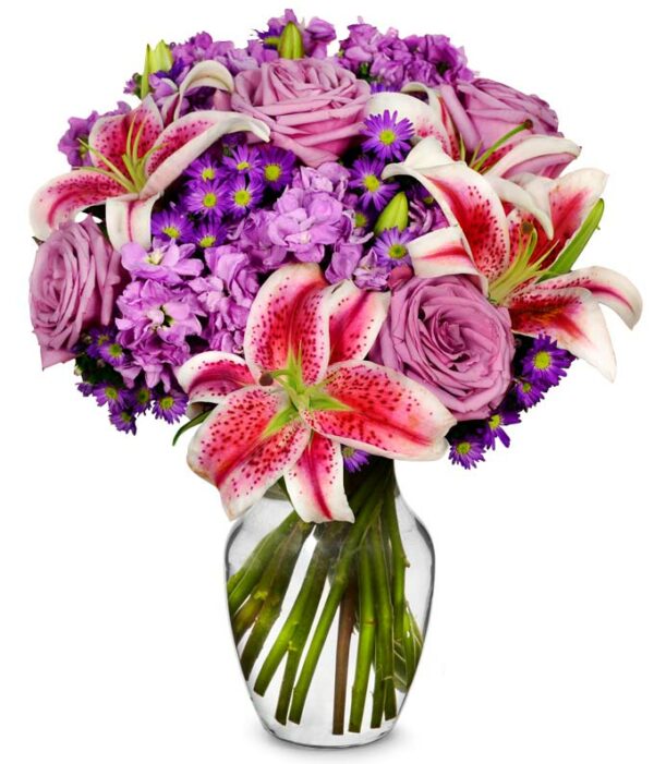 Flower Delivery - Lavender Bliss - Regular