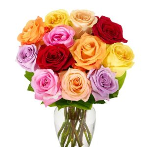 Flower Delivery - Send One Dozen Rainbow Roses