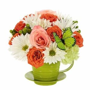 Flowers - Beautiful Butterfly Tea Cup Bouquet - Regular
