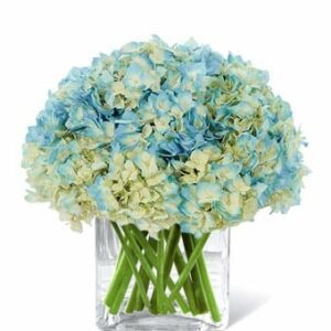 Flowers - Blue Moon Bouquet - Regular