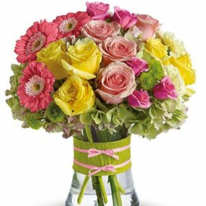 Flowers - Bright Beautiful Stems - Regular