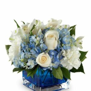 Flowers - Captivating Cobalt Bouquet - Regular