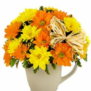 Flowers - Daisy Mug Bouquet - Regular