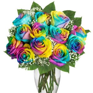 Flowers Delivery - Wild Rainbow Roses Flowers - One Dozen