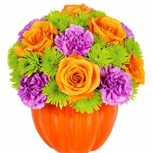 Flowers - Flowering Pumpkin - Regular