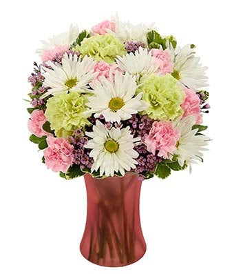 Flowers - Fresh As A Daisy Bouquet - Regular