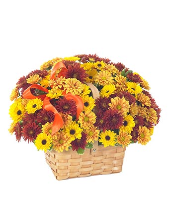 Flowers - Fresh Daisy Bouquet - Regular