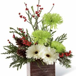 Flowers - Frosty Pines Bouquet - Regular