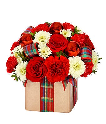 Flowers - Holiday Flower Gift Present - Regular