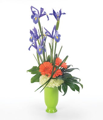 Flowers - Iris Medley - Regular