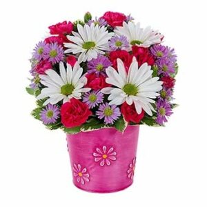 Flowers - It's a Daisy Day Bouquet - Regular