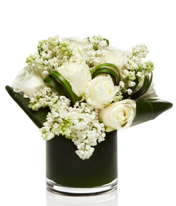 Flowers - Ivory White - Regular