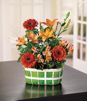 Flowers - Just Because Daisy Basket - Regular