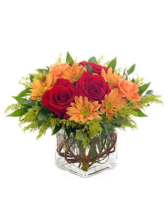 Flowers - Modern Red Rose Bouquet - Regular