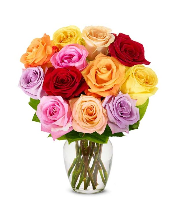 Flowers - One Dozen Birthday Rainbow Roses - Regular