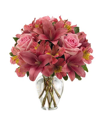 Flowers - Pink in Bloom - Regular