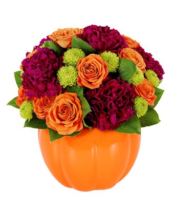 Flowers - Pumpkin Surprise - Regular