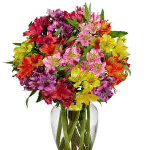 Flowers - Rainbow Alstroemeria Bouquet 15 Stems - Regular