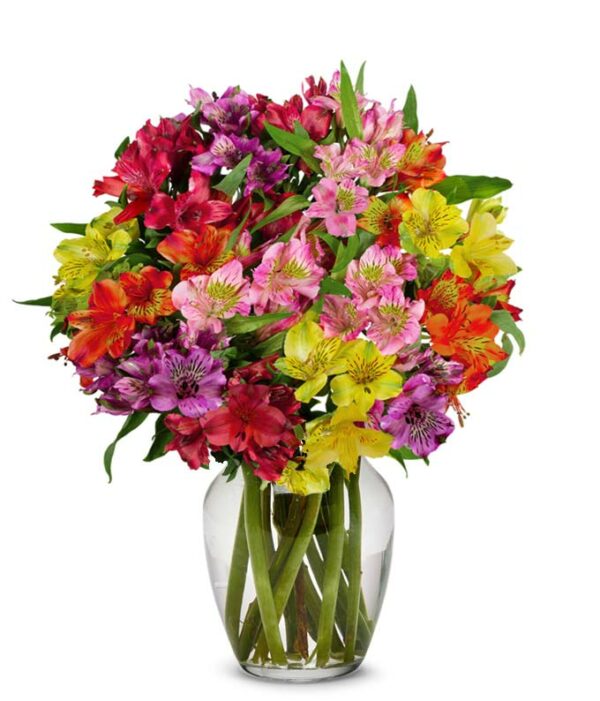 Flowers - Rainbow Alstroemeria Bouquet 15 Stems - Regular