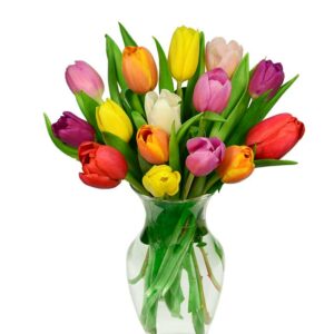 Flowers - Rainbow Tulip Bouquet - 15 Stems - Regular