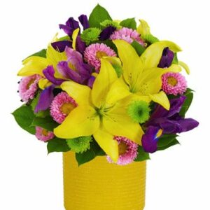 Flowers - Shimmering Summer Surprise - Regular