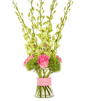 Flowers - Splendid Orchid Bouquet - Regular