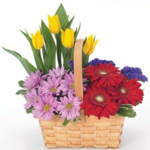 Flowers - Spring Flower Garden - Regular