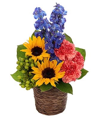 Flowers - Sunflower Fresh Field Bouquet - Regular