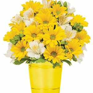 Flowers - Sunshine Daisies Bouquet - Regular