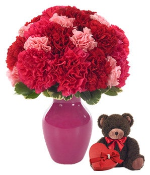 Flowers - Sweet Carnations with Bear and Chocolates - Regular