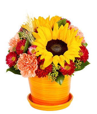 Flowers - Sweet Sunflower Bouquet - Regular