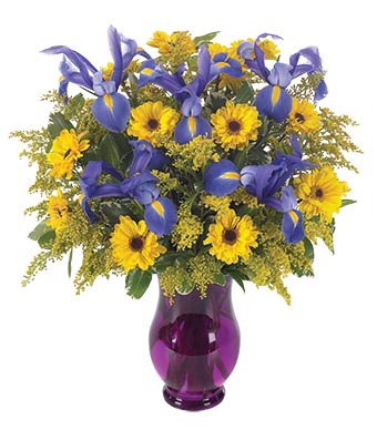 Flowers - The Iris and Sunshine Bouquet - Regular