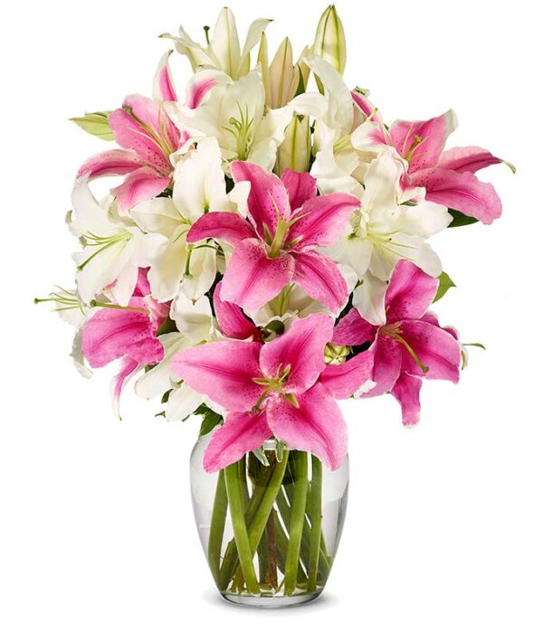 Flowers - The Starlight Lily Bouquet - Regular